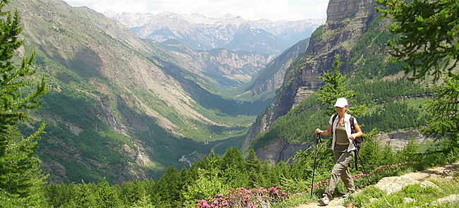 En montant à Dormillouse